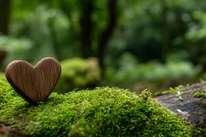 Hoe werkt een (stille) crematie zonder ceremonie?